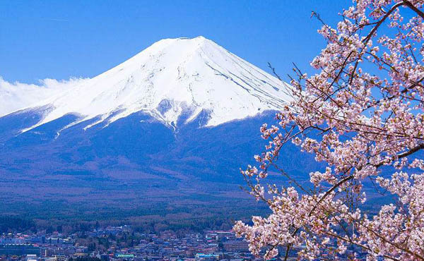 日本 同业签证代办